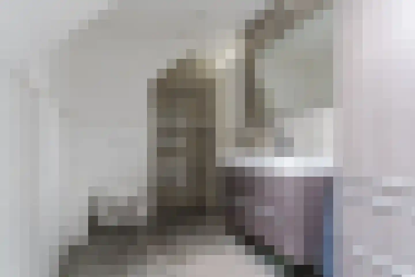 Rietkraag 28 Tuitjenhorn thumbnail 27