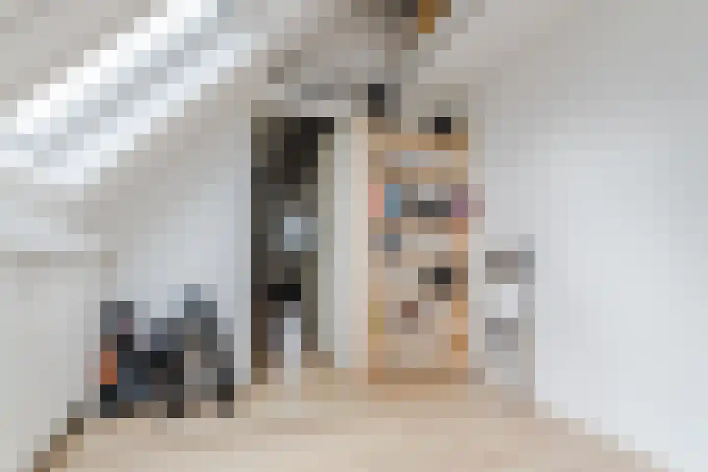 Rietkraag 28 Tuitjenhorn thumbnail 40