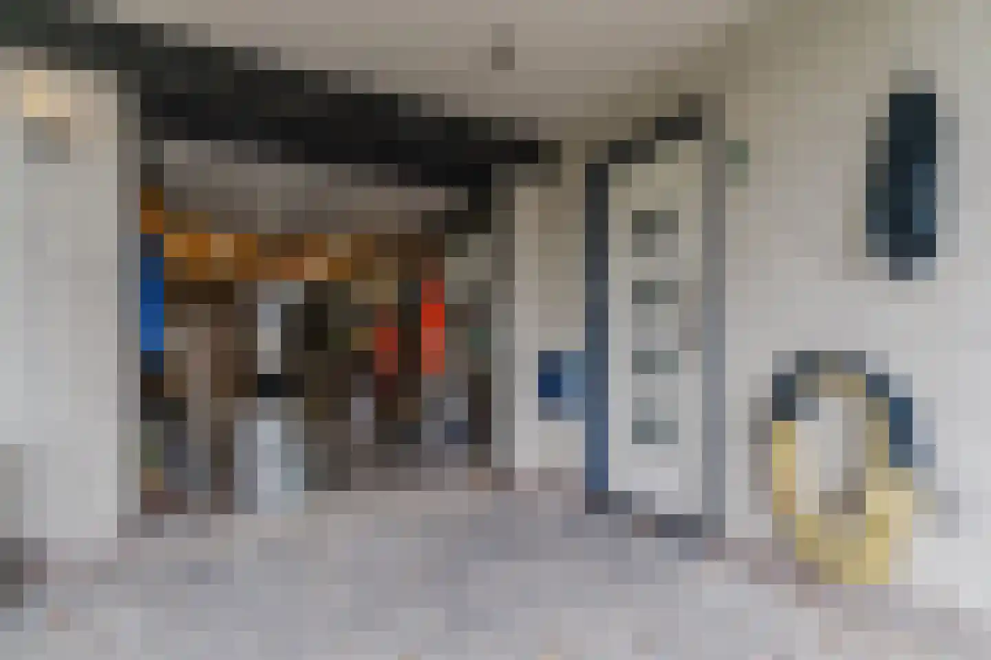 Rietkraag 28 Tuitjenhorn thumbnail 51