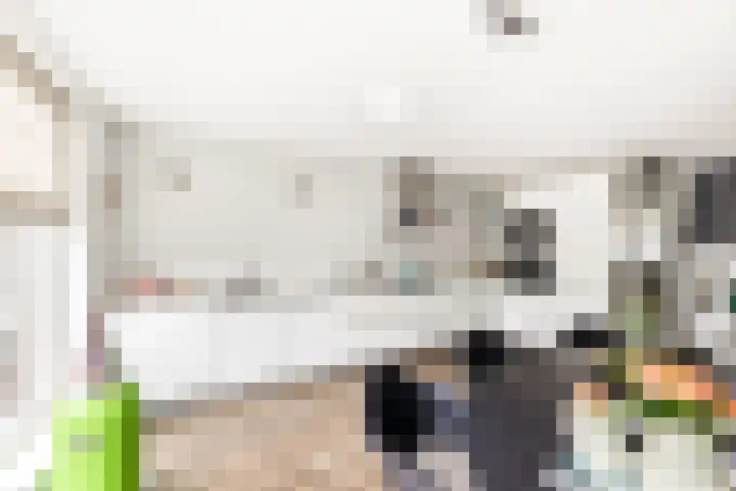 Rietkraag 32 Vlissingen thumbnail 16