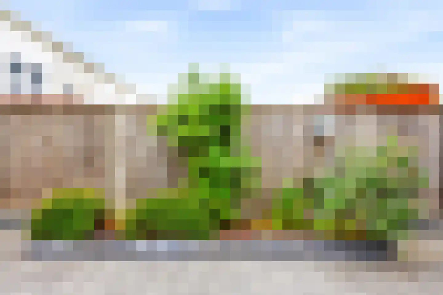 Rietkraag 32 Vlissingen thumbnail 23