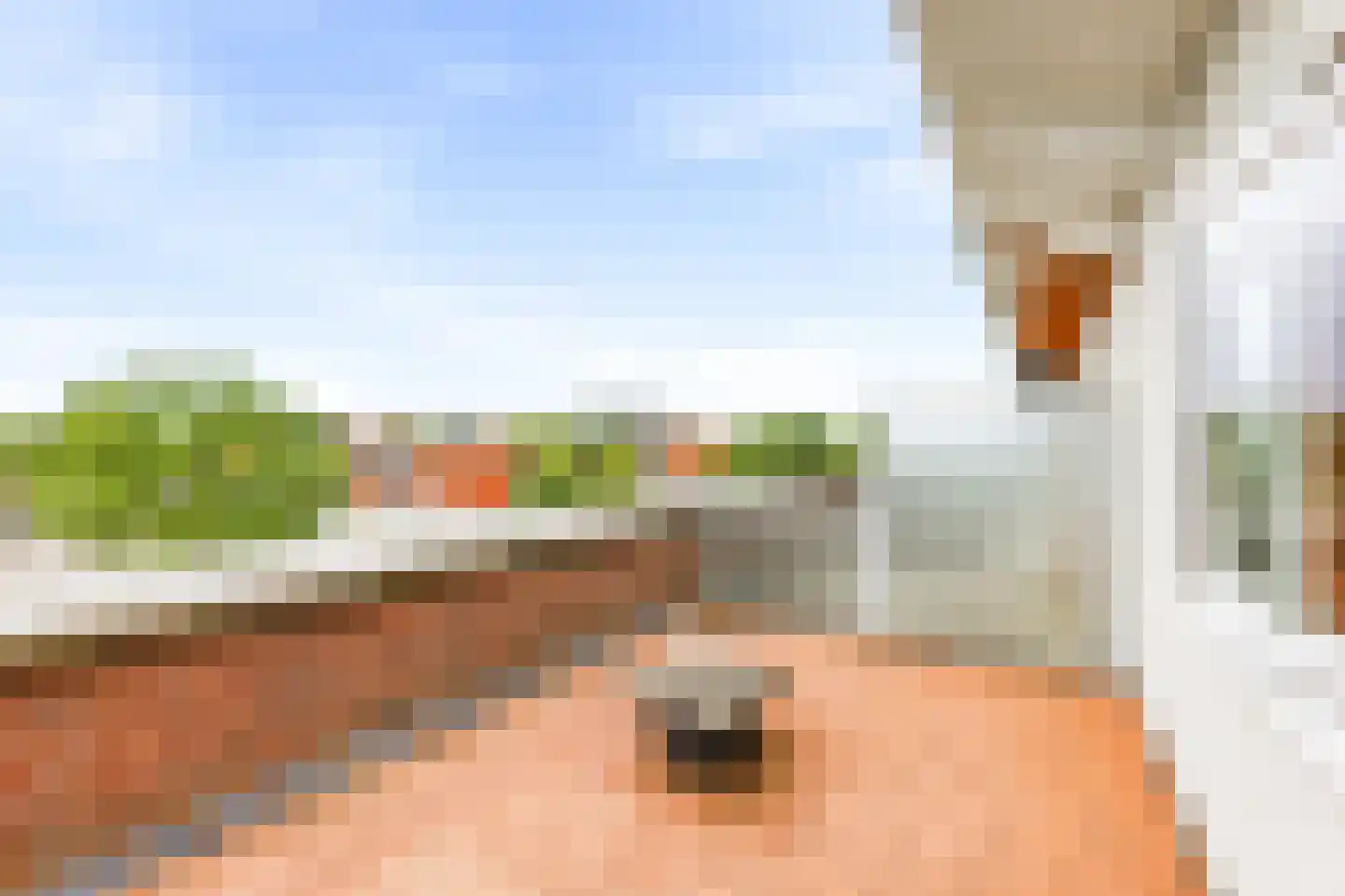 Rietkraag 32 Vlissingen thumbnail 42