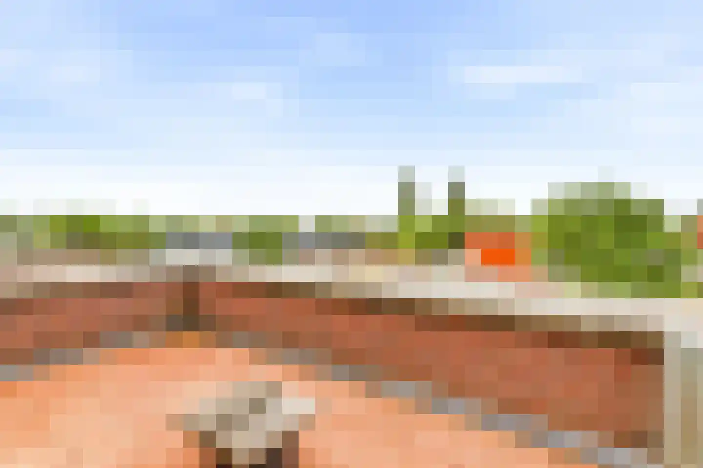 Rietkraag 32 Vlissingen thumbnail 43