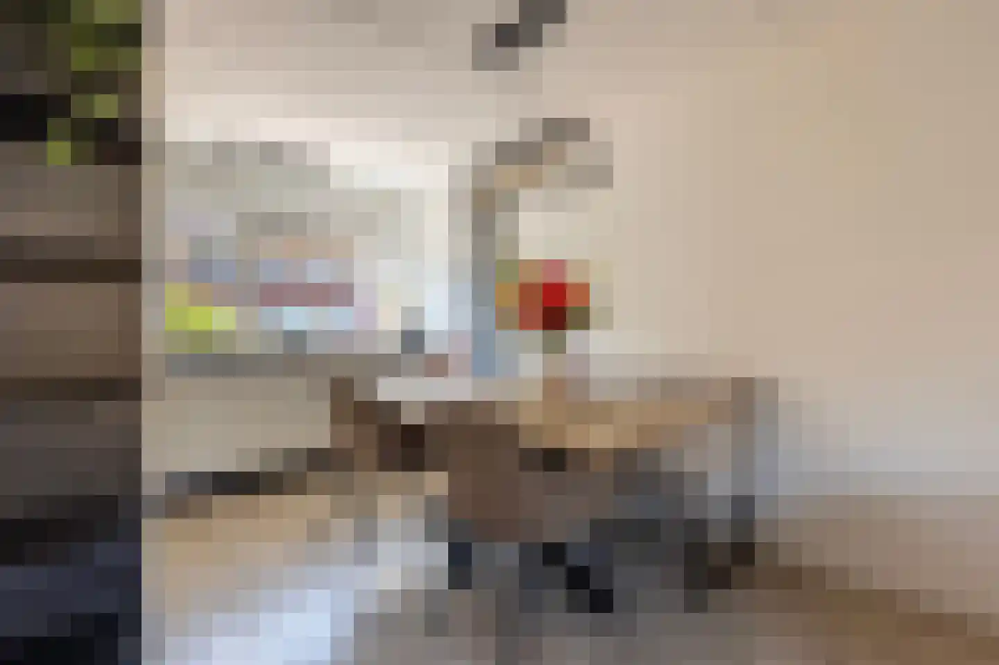 Rietkraag 36 Lopik thumbnail 10