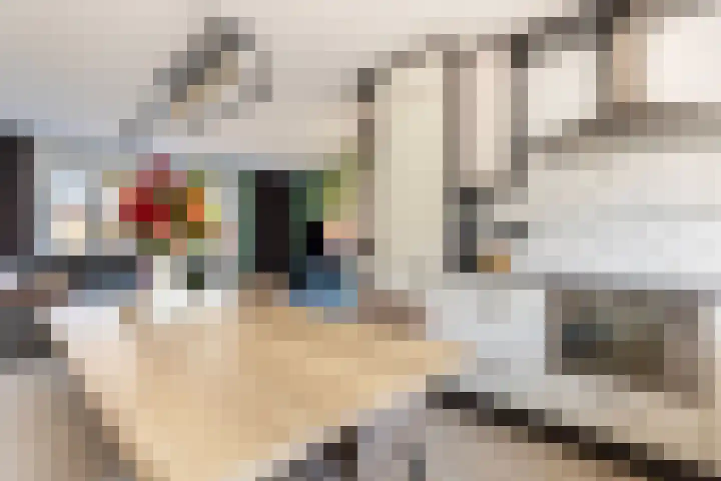 Rietkraag 36 Lopik thumbnail 14