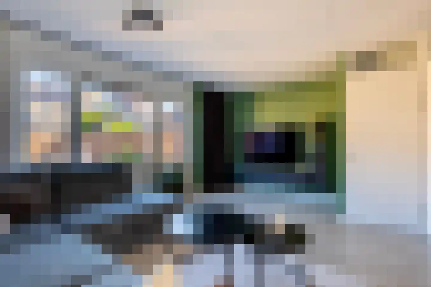 Rietkraag 36 Lopik thumbnail 16