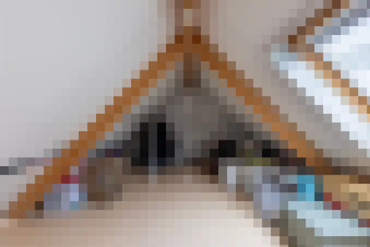 Rietkraag 36 Lopik thumbnail 35