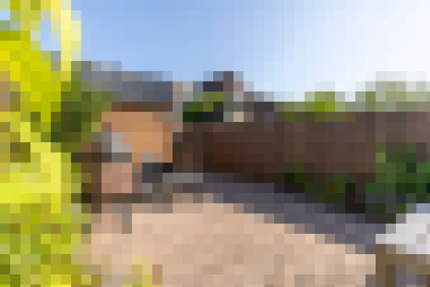Rietkraag 36 Lopik thumbnail 41