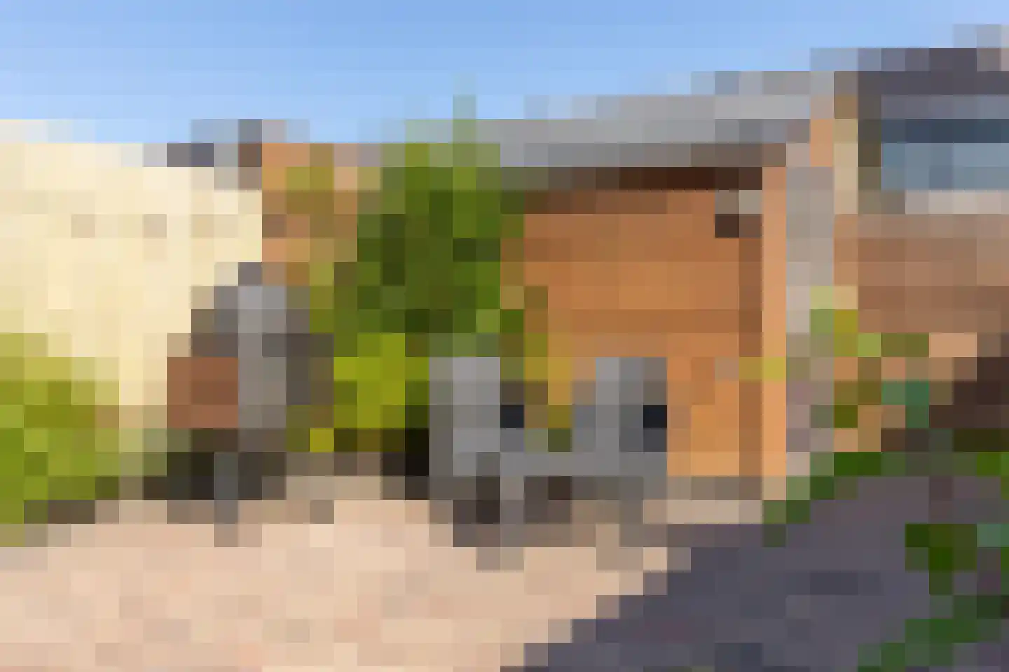 Rietkraag 36 Lopik thumbnail 42