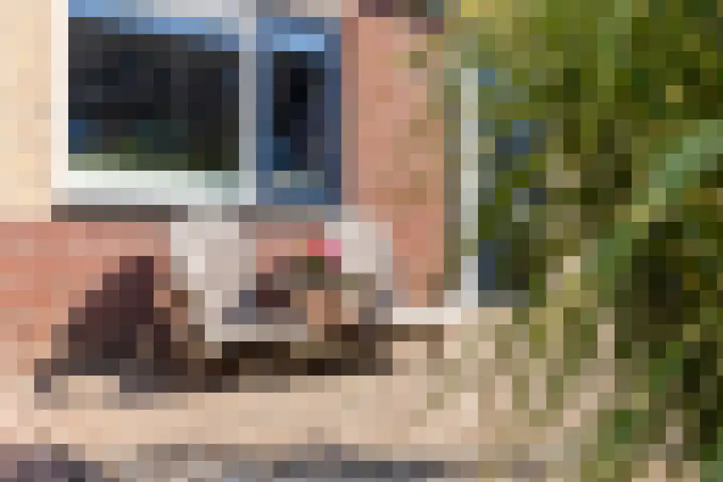Rietkraag 36 Lopik thumbnail 47