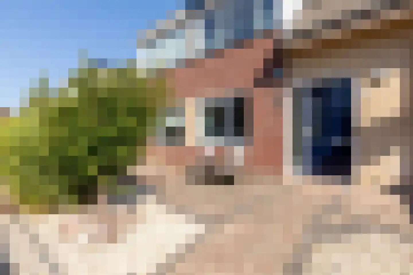 Rietkraag 36 Lopik thumbnail 6