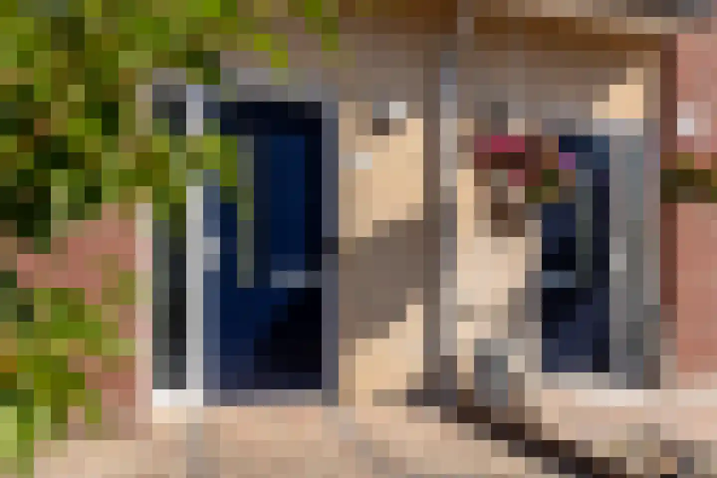 Rietkraag 36 Lopik thumbnail 7