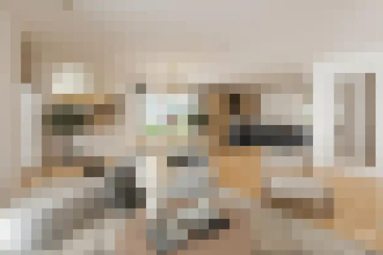 Rietkraag 4 Capelle aan den IJssel thumbnail 14