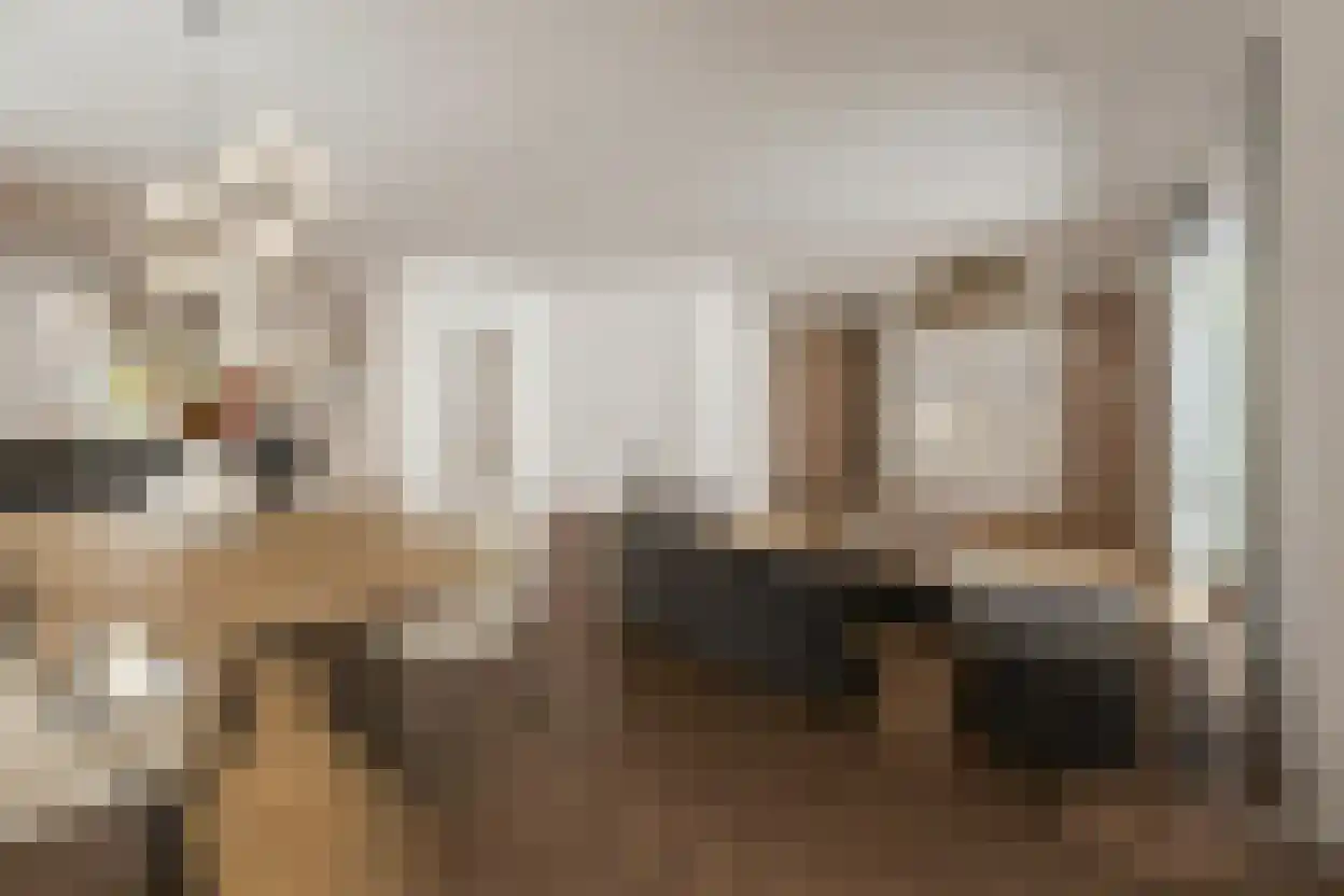 Rietkraag 4 Capelle aan den IJssel thumbnail 15