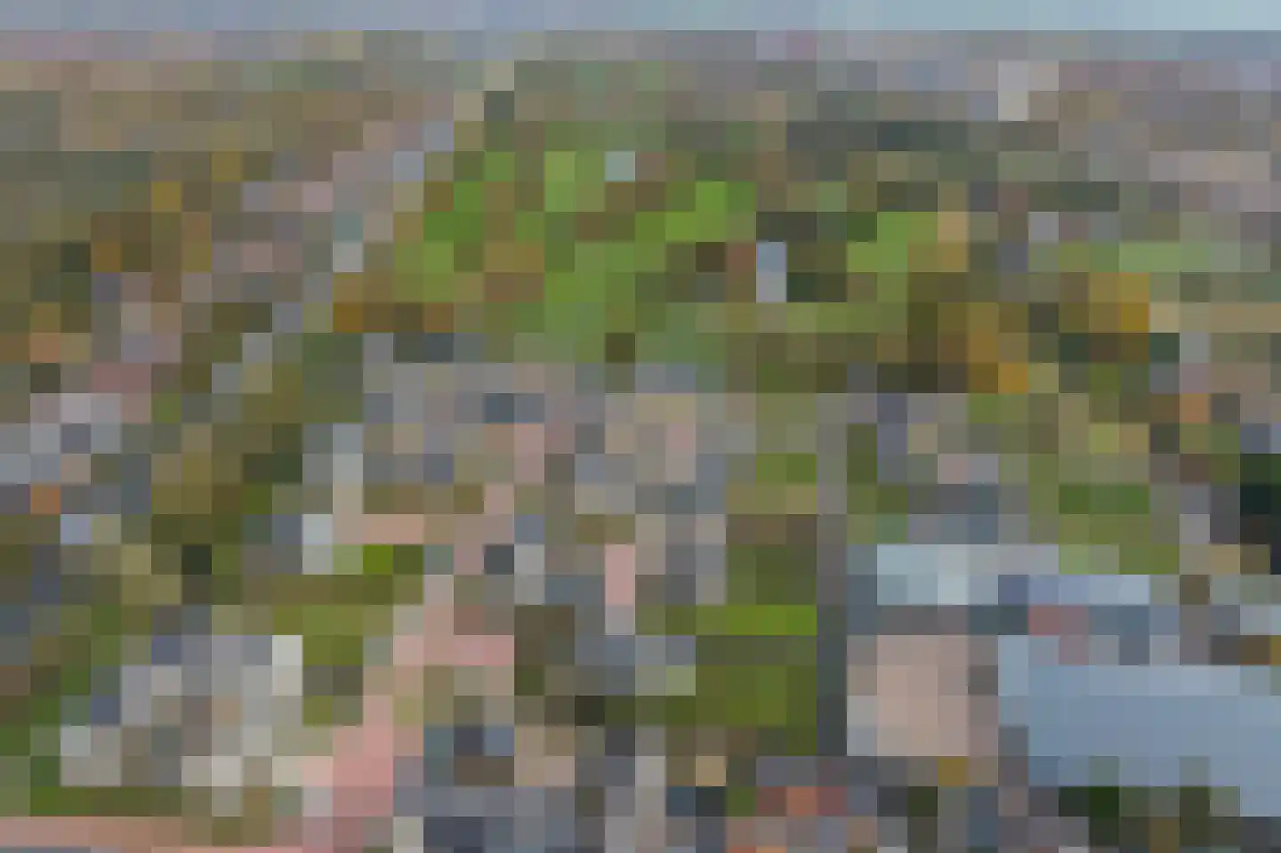Rietkraag 4 Capelle aan den IJssel thumbnail 35