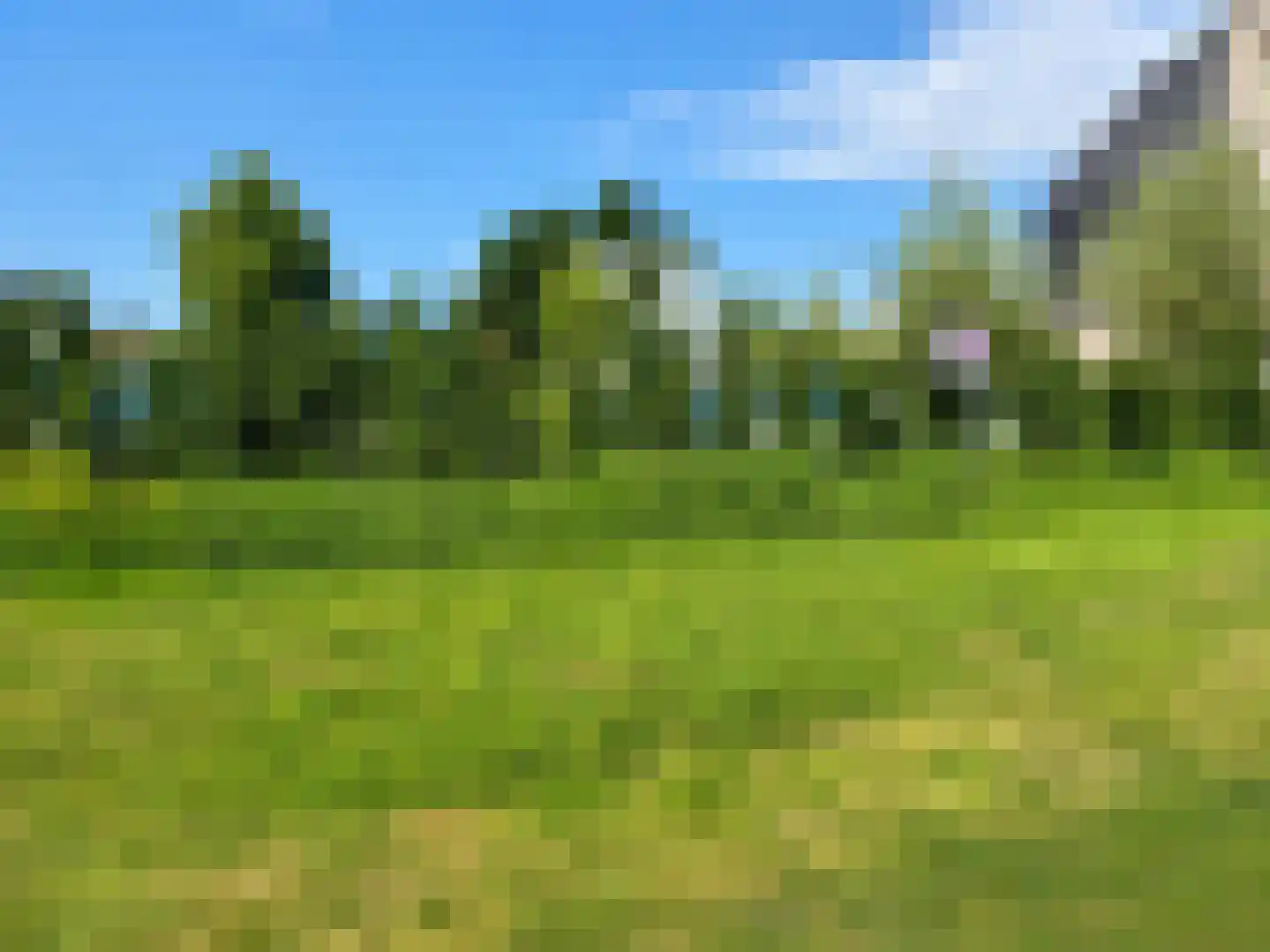 Rietkraag 4 Capelle aan den IJssel thumbnail 6