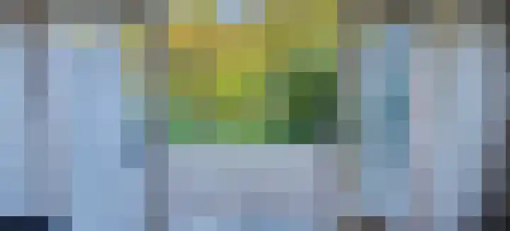 Rietkraag 41 Schiedam thumbnail 11