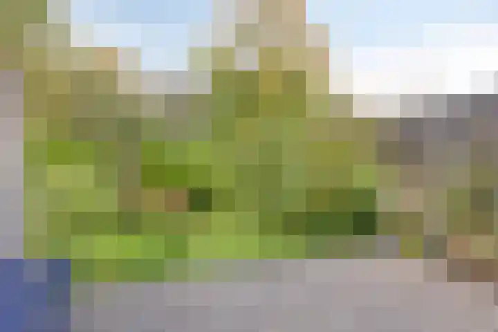 Rietkraag 41 Schiedam thumbnail 13