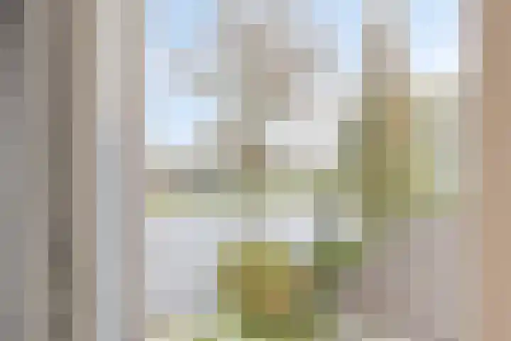 Rietkraag 41 Schiedam thumbnail 25