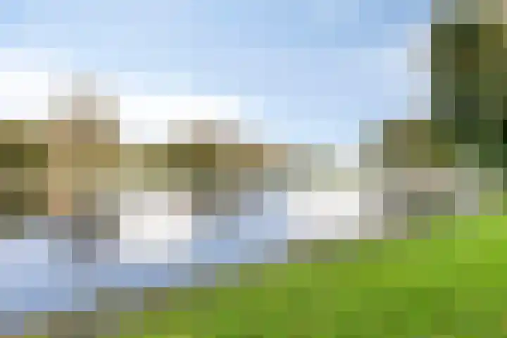 Rietkraag 41 Schiedam thumbnail 33