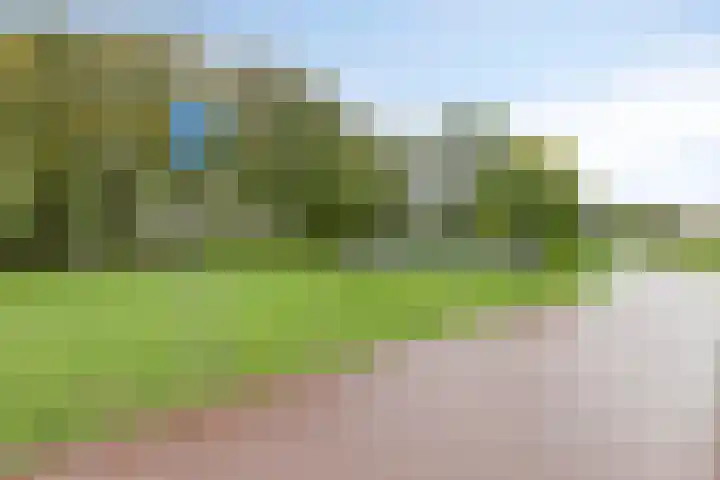 Rietkraag 41 Schiedam thumbnail 34