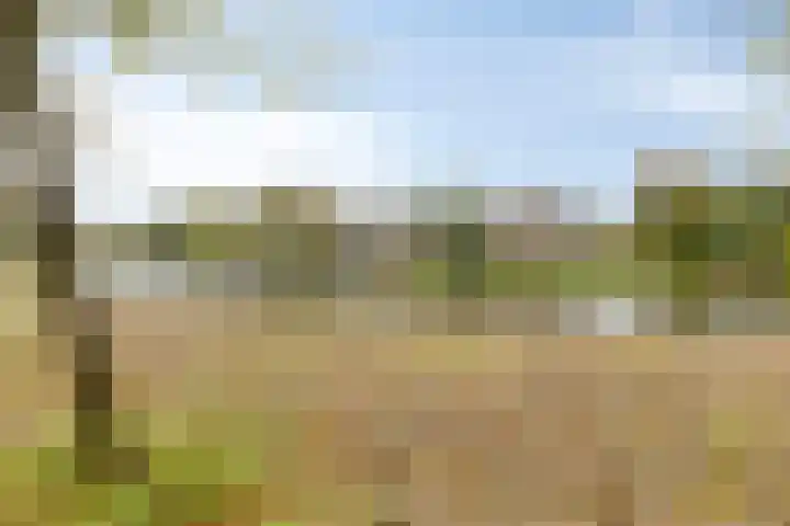 Rietkraag 41 Schiedam thumbnail 36
