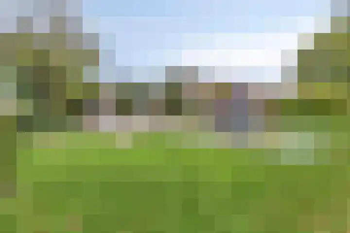 Rietkraag 41 Schiedam thumbnail 37