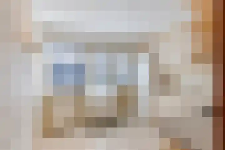 Rietkraag 41 Schiedam thumbnail 7