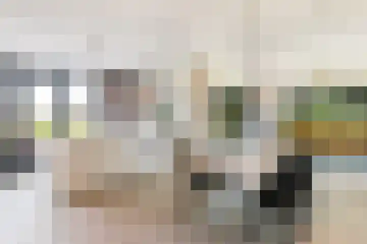 Rietkraag 42 Capelle aan den IJssel thumbnail 10