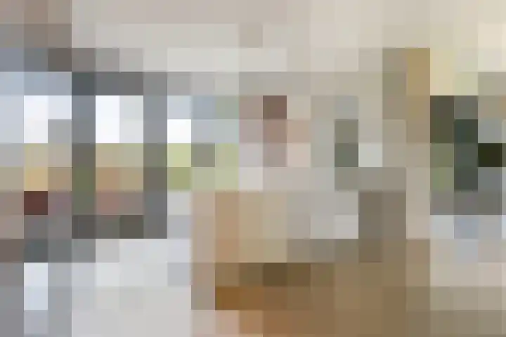 Rietkraag 42 Capelle aan den IJssel thumbnail 11