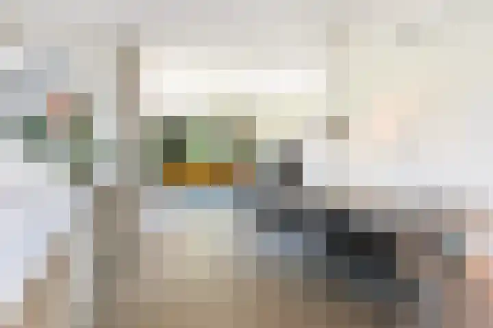 Rietkraag 42 Capelle aan den IJssel thumbnail 12