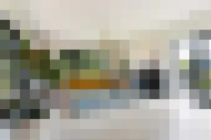 Rietkraag 42 Capelle aan den IJssel thumbnail 13