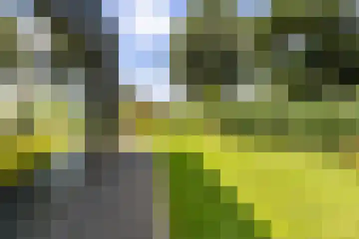 Rietkraag 42 Capelle aan den IJssel thumbnail 15