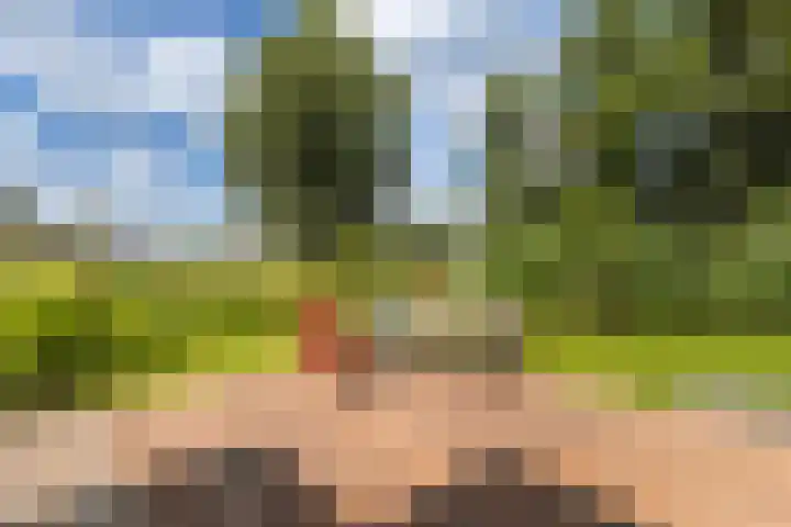 Rietkraag 42 Capelle aan den IJssel thumbnail 18