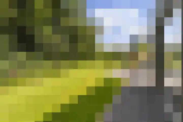 Rietkraag 42 Capelle aan den IJssel thumbnail 19