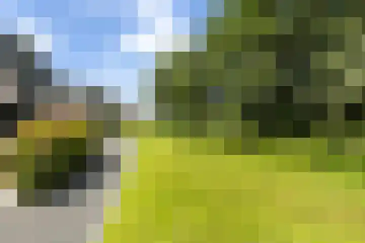 Rietkraag 42 Capelle aan den IJssel thumbnail 20