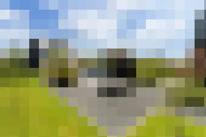 Rietkraag 42 Capelle aan den IJssel thumbnail 21