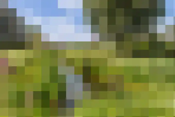 Rietkraag 42 Capelle aan den IJssel thumbnail 22