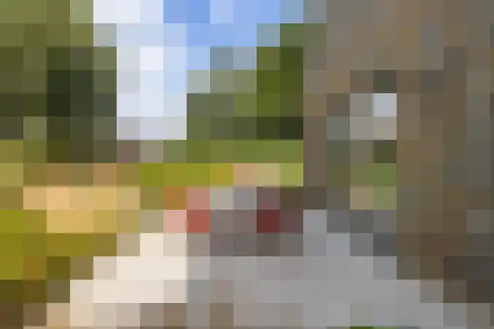 Rietkraag 42 Capelle aan den IJssel thumbnail 28