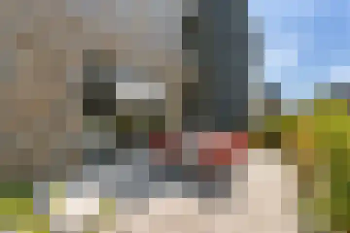 Rietkraag 42 Capelle aan den IJssel thumbnail 29