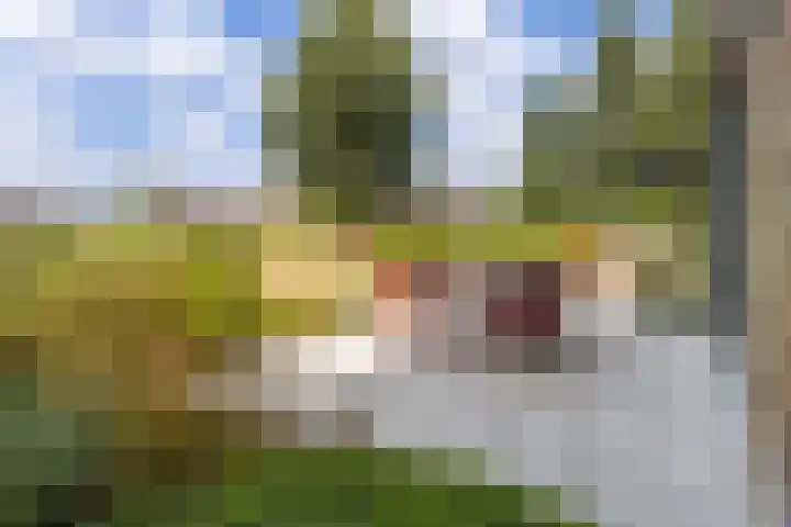 Rietkraag 42 Capelle aan den IJssel thumbnail 30