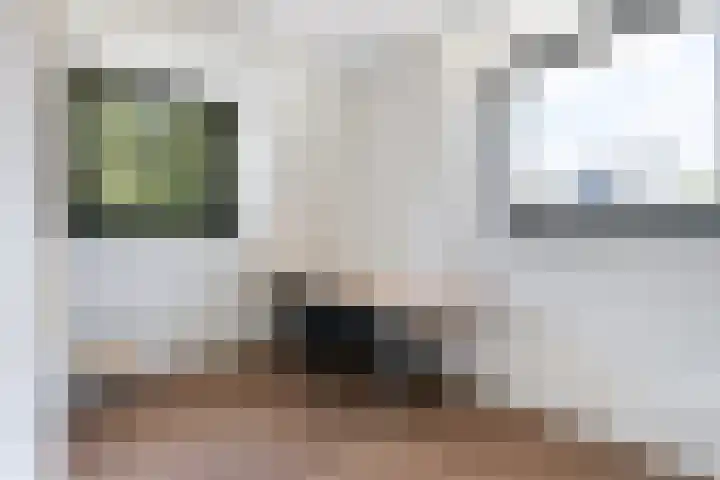 Rietkraag 42 Capelle aan den IJssel thumbnail 37