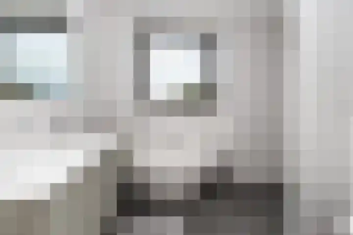 Rietkraag 42 Capelle aan den IJssel thumbnail 39