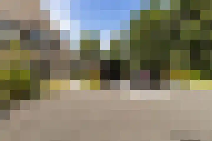 Rietkraag 42 Capelle aan den IJssel thumbnail 4