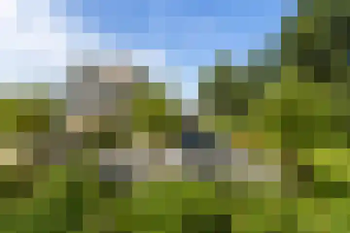 Rietkraag 42 Capelle aan den IJssel thumbnail 5