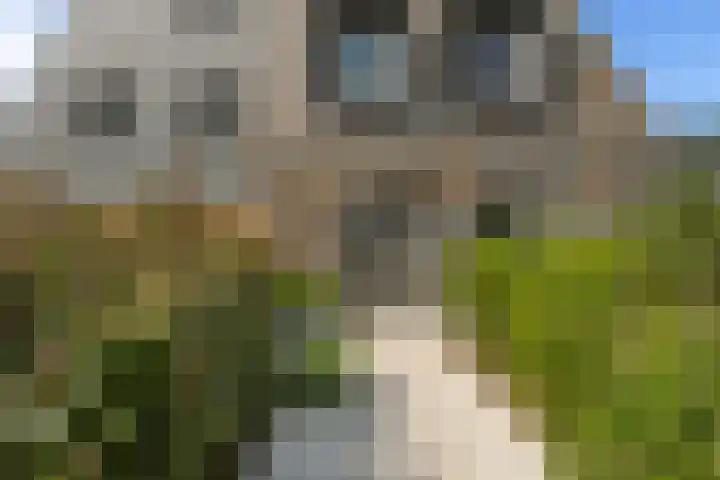 Rietkraag 42 Capelle aan den IJssel thumbnail 6