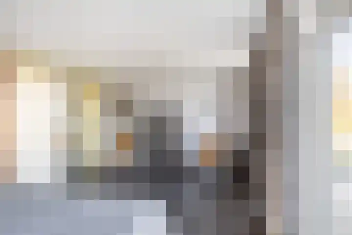 Rietkraag 45 Schiedam thumbnail 21