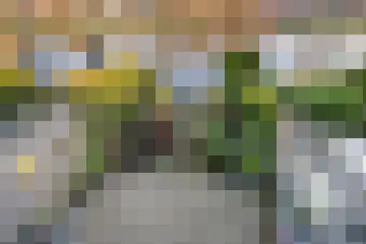 Rietkraag 45 Schiedam thumbnail 22