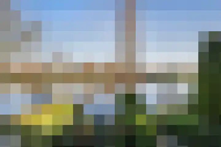 Rietkraag 45 Schiedam thumbnail 23