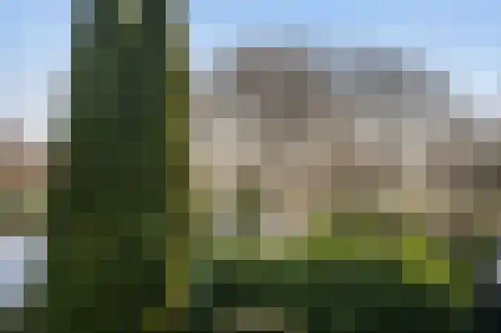 Rietkraag 45 Schiedam thumbnail 24